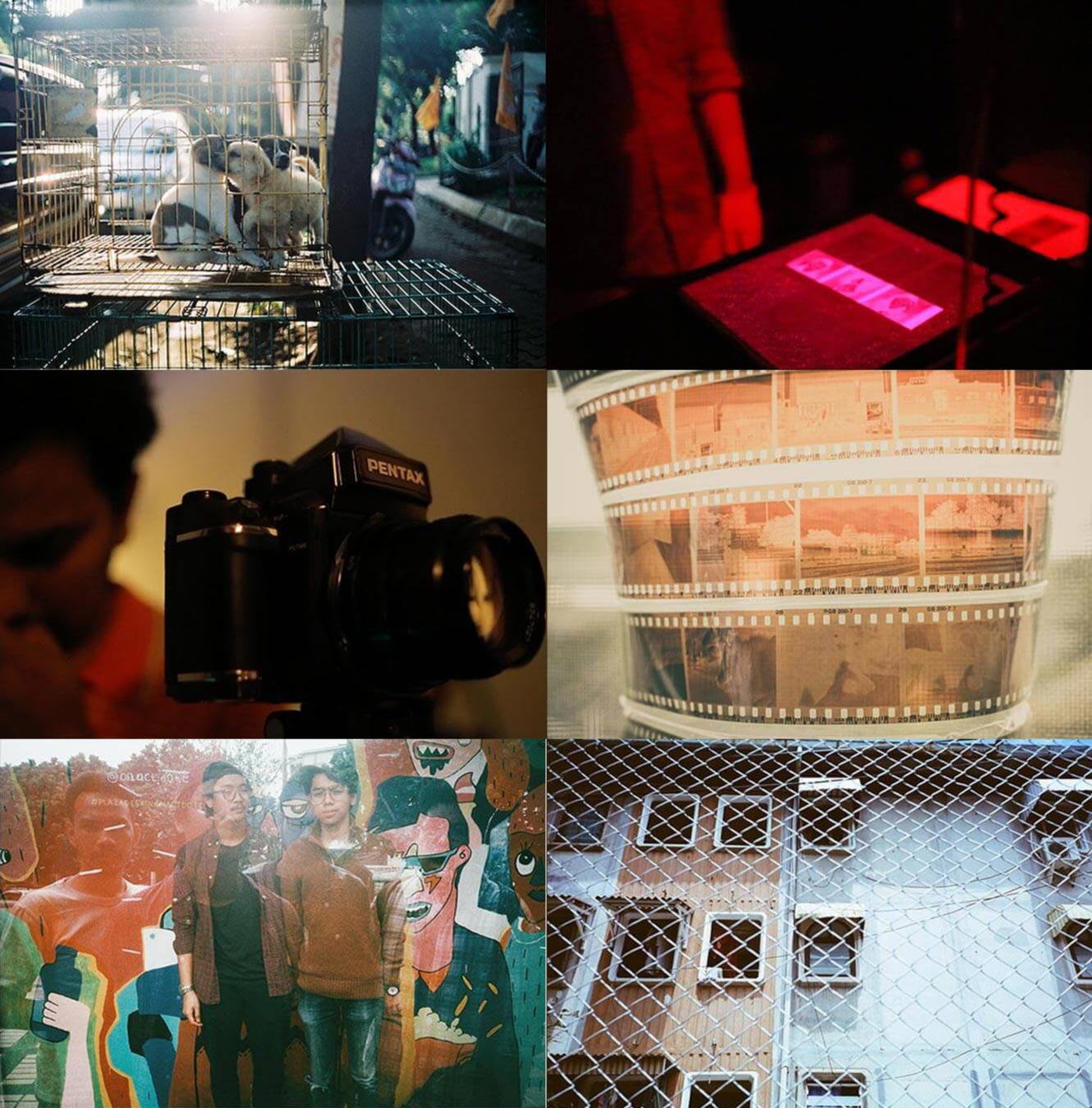 Tren Kamera Film di Era Digital